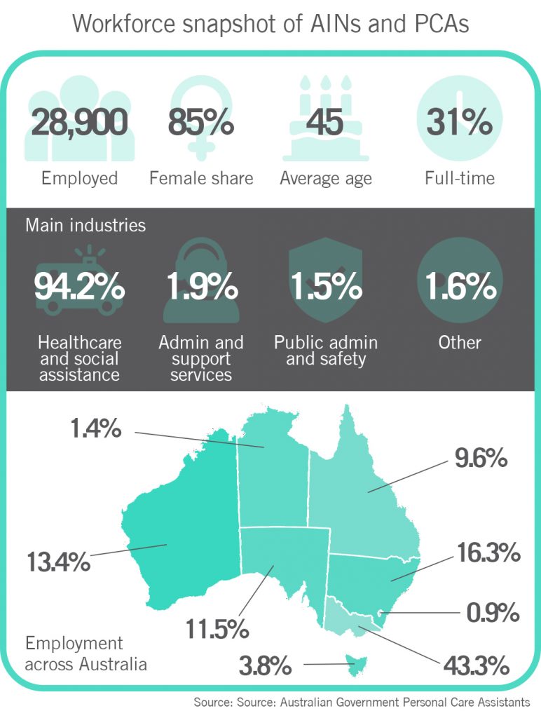 Workforce snapshot of AINs and PCAs